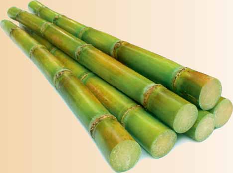 Oversupply continues to depress prices of sugar